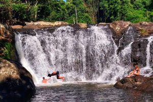 Wild Swimming Lismore Northern Rivers