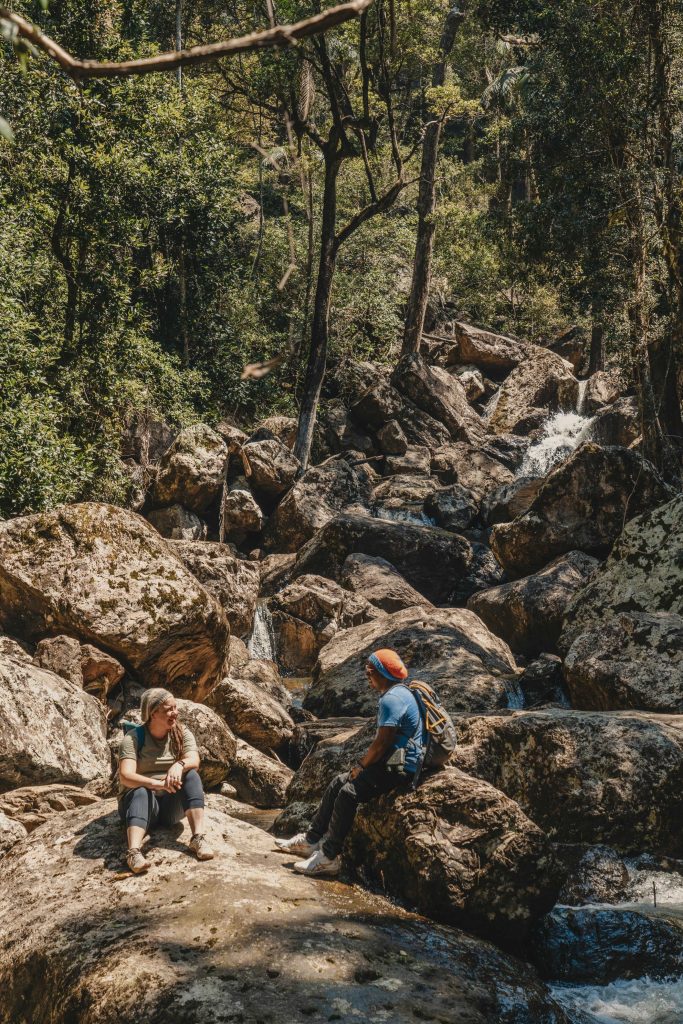 Bushwalking Tour in Nightcap National Park