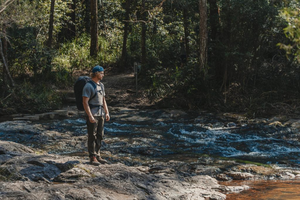 Bushwalking Tour near Byron Bay